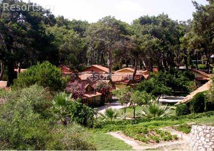 Baklavaci Green Park Resort 5